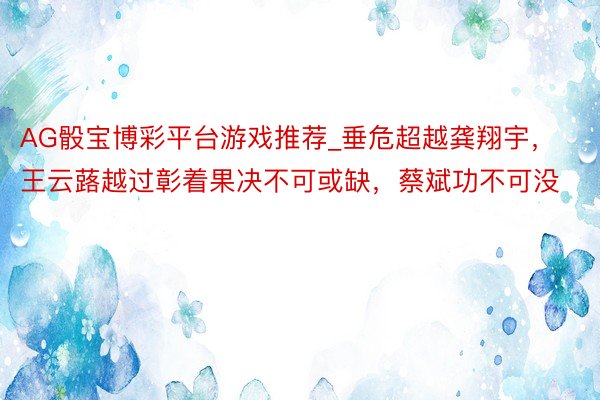 AG骰宝博彩平台游戏推荐_垂危超越龚翔宇，王云蕗越过彰着果决不可或缺，蔡斌功不可没